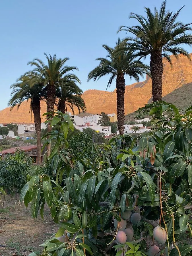Apartamento Finca Aquilino Y Carmen Mogán