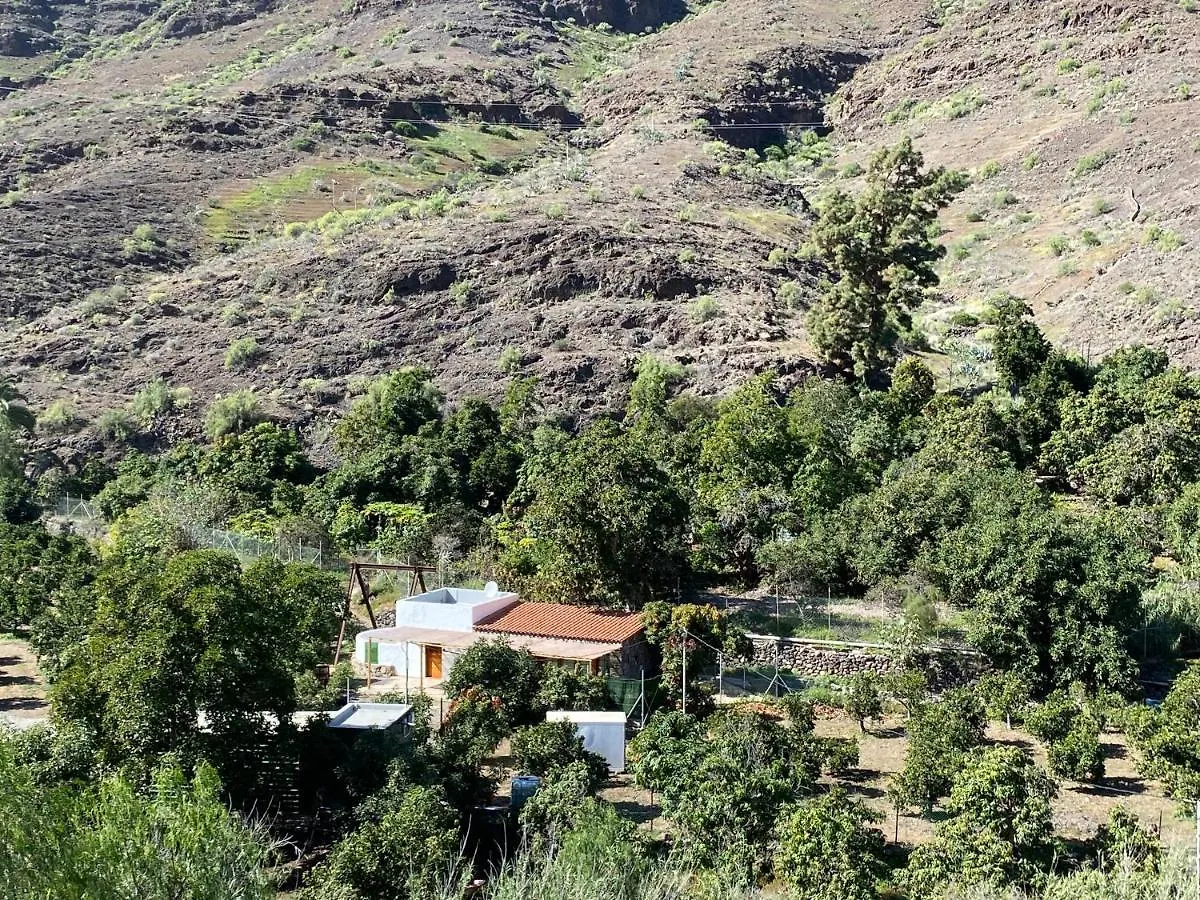 Finca Aquilino Y Carmen Mogán España