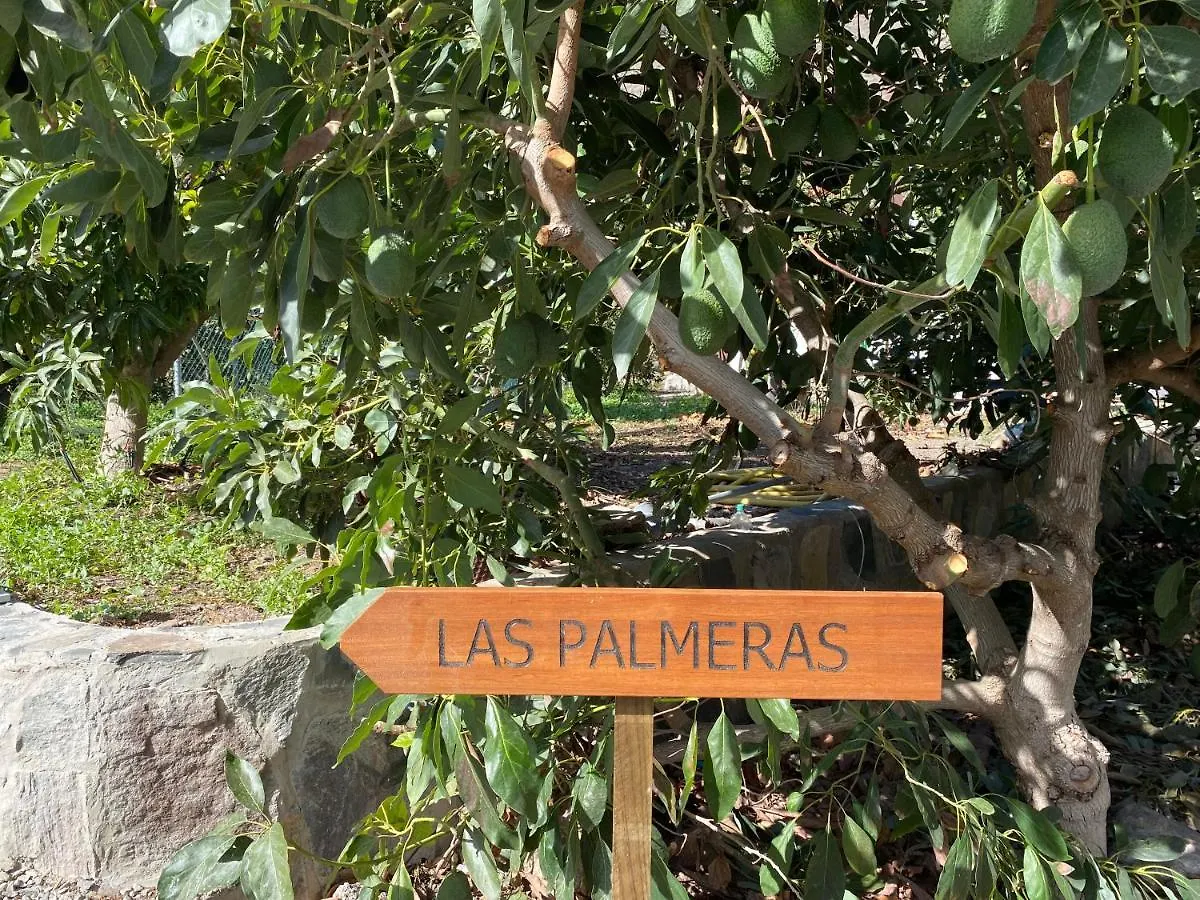 Apartamento Finca Aquilino Y Carmen Mogán España